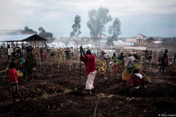 RDC: violences en Ituri, polémique sur le nombre de victimes