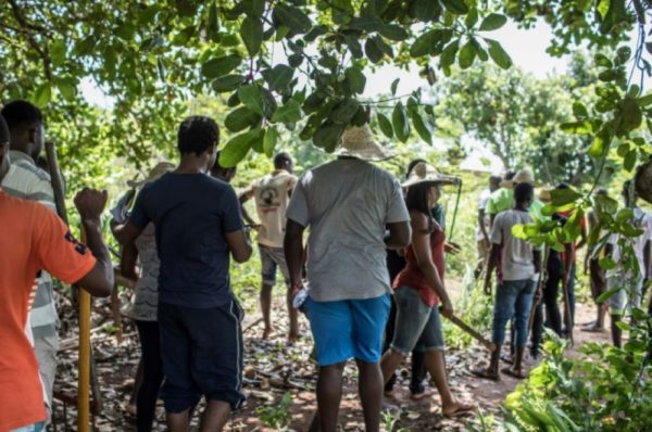 Au Bénin, un camp d’entraînement pour apprendre l’agriculture bio