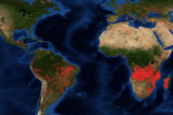 Afrique subsaharienne : ses forêts brûlent aussi