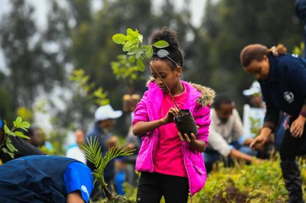 Face au réchauffement climatique, la Cnuced plaide pour des investissements massifs en Afrique