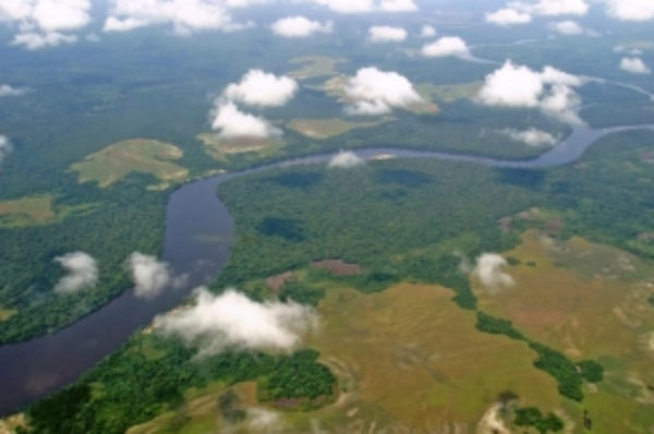 Les pays de la CEEAC veulent parler d’une même voix au sommet climat de l’ONU