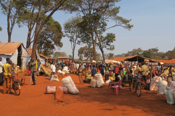 Près de 600 réfugiés burundais rentrent chez eux alors que le rapatriement en masse commence