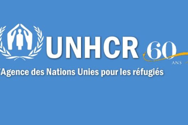 Tchad: l’ONU appelle à une gestion coordonnée des réfugiés fuyant Boko Haram