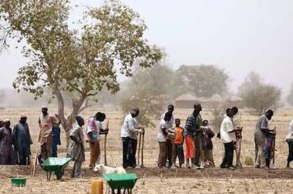 Sahel : la bataille pour la sécurité alimentaire