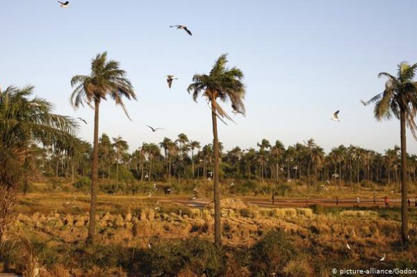 La Casamance inquiète de l’arrivée de Bissau-guinéens