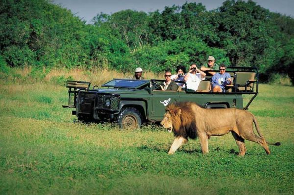 Avec le coronavirus, le tourisme en Afrique affiche un manque à gagner de quelque 50 milliards d’euros