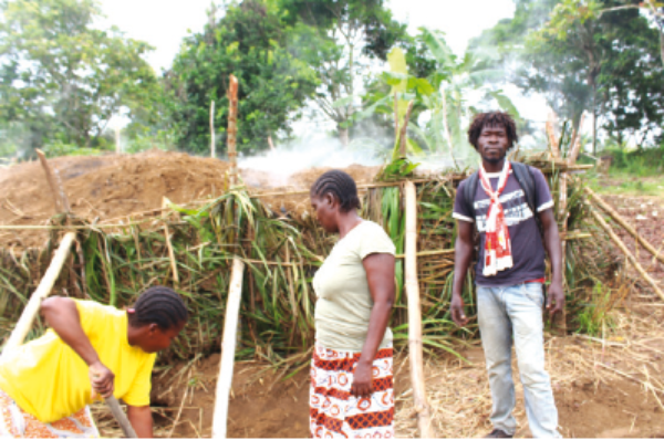 Congo Brazzaville : Dans l’univers de la déforestation du Pool