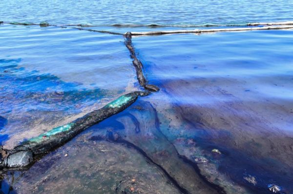 Marée noire à Maurice: l’écosystème en danger