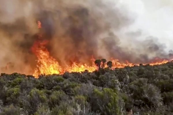 En Tanzanie, l’incendie sur les flancs du Kilimandjaro est circonscrit