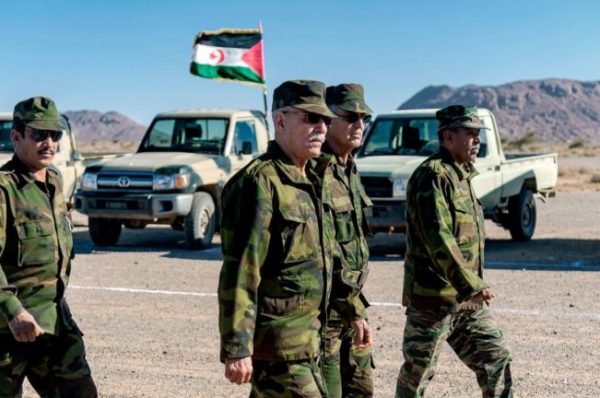 Conflit du Sahara Occidental : Les Sahraouis poursuivent les attaques contre les positions de l’armée marocaine
