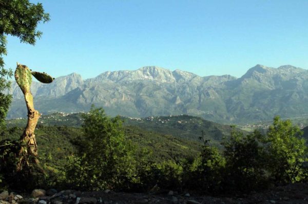 Algérie : des incendies attisés par la canicule font plusieurs morts en Kabylie