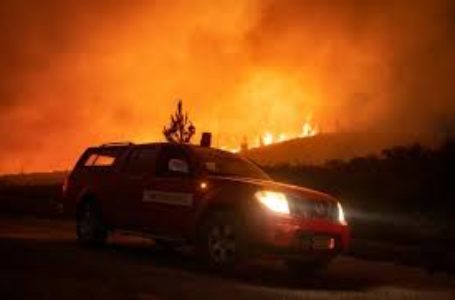Un feu de forêt dans la région de Chefchaouen, le 15 août 2021 dans le nord du Maroc
afp.com – FADEL SENNA