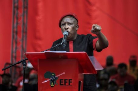 Le leader des Economic Freedom Fighters (EFF) Julius Malema en meeting de campagne pour les municipales le 26 septembre 2021 à Johannesburg
afp.com – LUCA SOLA