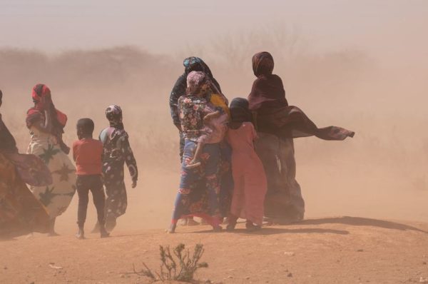 La Corne d’Afrique en proie à une sécheresse record, une double crise pour l’Éthiopie