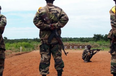 Lors d’une session d’exercices organisée au camp Leclerc de Bouar, en septembre 2019. RFI/Charlotte Cosset